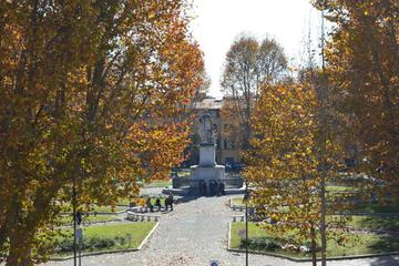 Photo 47