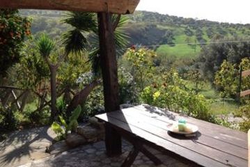 Terrace or Patio