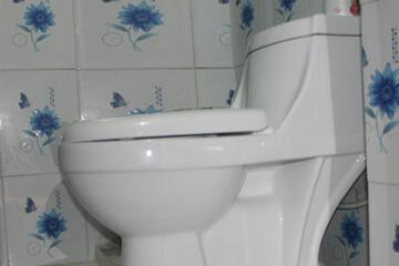 Photo 46