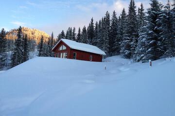 Photo 21