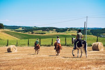 Horseback riding