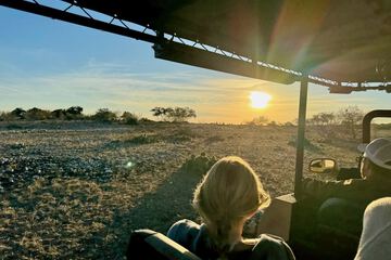 Safari