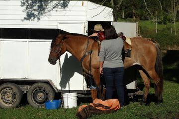 Horseback riding