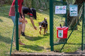 Pet-friendly