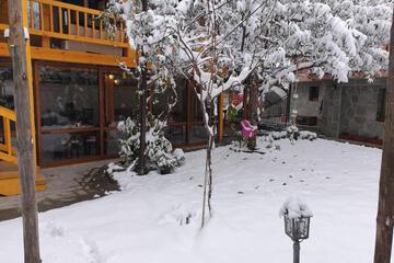 Photo 43