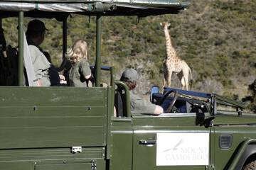 Game drive