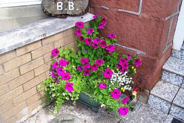 Photo 30