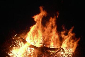 Photo 51