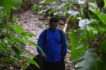 Hiking