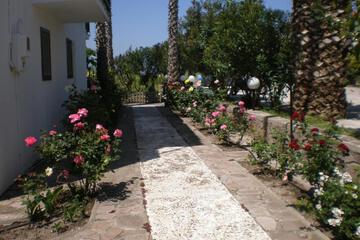 Photo 38