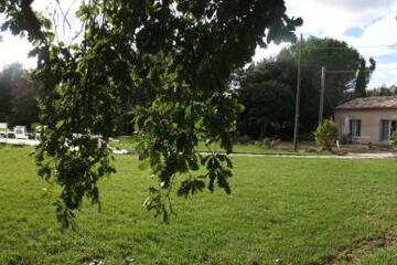 Photo 31