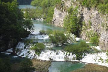Photo 40