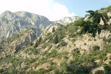 Photo 32
