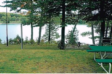 BBQ/picnic area