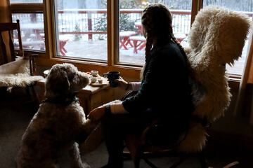 Pet-friendly