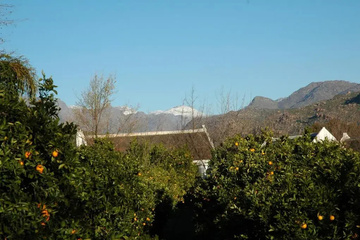 outside