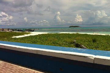 Photo 43