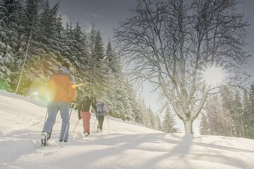 Snowshoeing