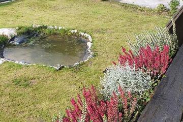 Photo 46