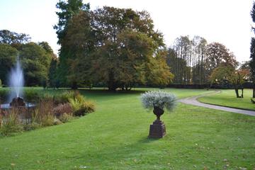 Photo 78