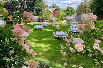 Outdoor wedding area