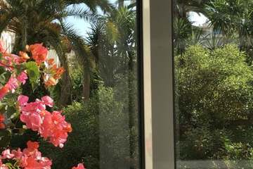 Garden view