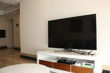 Television
