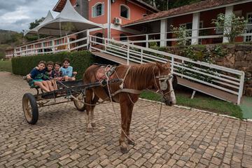 Horseback riding
