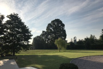 Outdoor wedding area