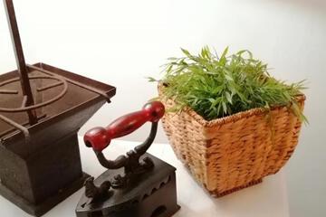 Photo 43