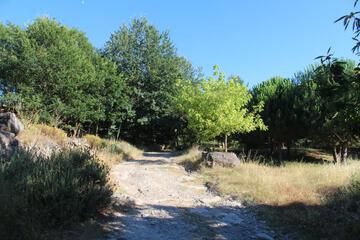 Photo 56