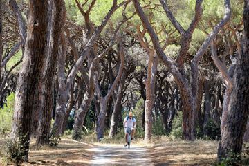Bicycling