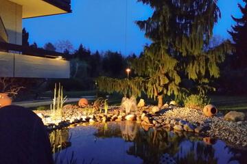 Photo 31