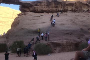 Ecotours