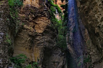 Ecotours