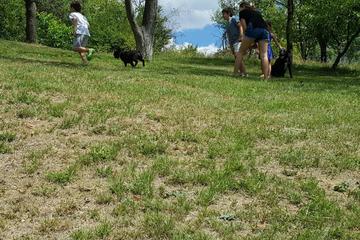Photo 25
