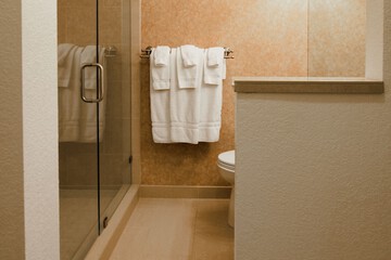 Bathroom shower