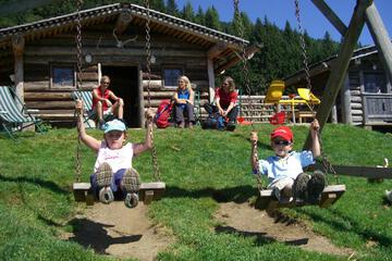 Photo 40