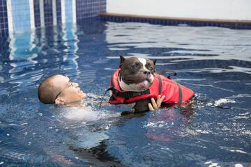 Pet-friendly