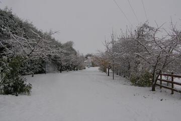 Photo 44