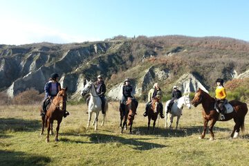 Horseback riding