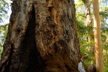 Game viewing