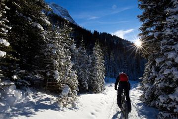 Bicycling