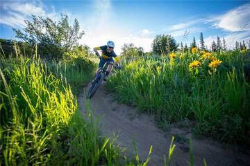 Bicycling