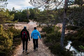 Hiking