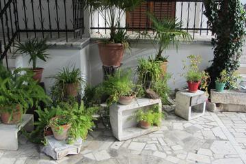 Photo 64