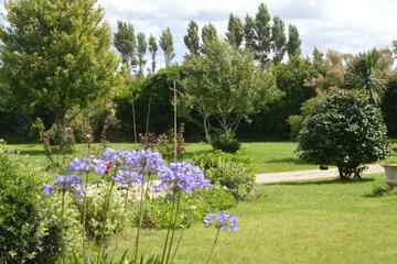 Photo 31