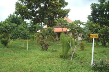 Photo 32