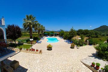 Photo 61