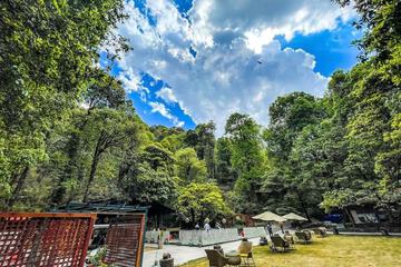 Outdoor wedding area